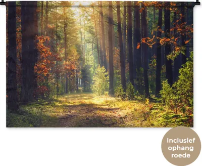 Produktbild von MuchoWow® Wandteppich Wandbehang Wald - Herbst - Bäume 120x80 cm Tapisserie Dekoration Wandtuch - Wanddekorationen - Wandtücher