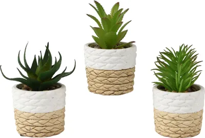 Produktbild von Künstliche Sukkulente 9x14cm im Topf 1 Stück sortiert