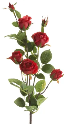 Produktbild von Künstliche Rose, 75 cm, rot, Set mit 6 Stück