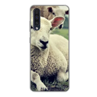 Produktbild von MuchoWow® Handyhülle Schutzhülle Hülle für Samsung Galaxy A50 Schaf - Lamm - Gras Silikon Softcase Handy Hülle - Mobiltelefonhülle