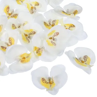 Künstliche Orchideenblüten, 20 Stück, Seide, Weiß, für DIY und Hochzeit