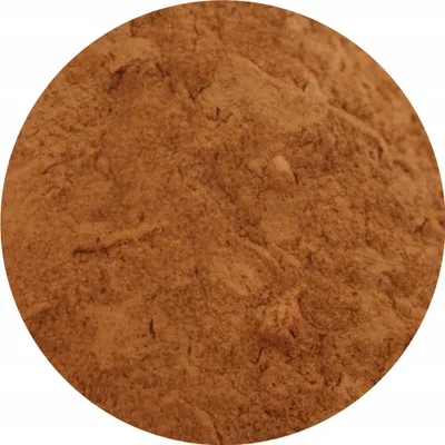 A close-up, circular view of ground cinnamon.
