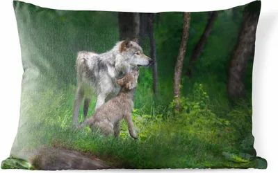 Produktbild von MuchoWow® Outdoor Kissen - Wolf - Baby - Wald - 60x40 cm - Wetterfest - Lounge Kissen - Zierkissen - Kissen für Innenräume