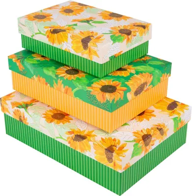 Produktbild von Goldbuch Kartonagen-Set Sunflower