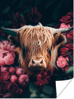 Produktbild von MuchoWow® Poster Kuh - Schottischer Highlander - Blumen - Botanisch 90x120 cm - Wohnzimmer