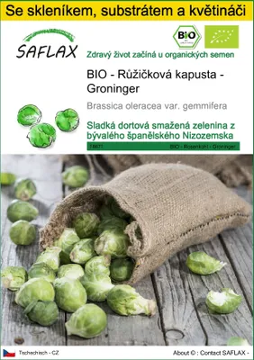 Obrázek produktu pro SAFLAX Kultivační sada - BIO - Růžičková kapusta - Groninger - Brassica oleracea var. gemmifera - 30 Semena - S mini skleníkem, pěstebním substrátem a 2 květináči