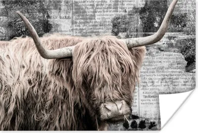 Produktbild von MuchoWow® Poster Schottischer Highlander - Kuh - Retro 180x120 cm - Fotoplakat