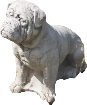Immagine prodotto di Cucciolo di pugile in pietra fusa per il giardino, resistente al gelo e alle intemperie, nuovo, 23 cm di altezza, 13 cm di larghezza, 3ß cm di profondità, circa 6 kg, ST-103886