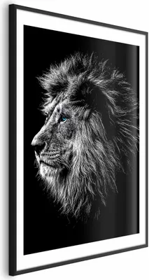 Produktbild von Posterpapier Poster - Blue-eyed Lion 21x30 cm Tiere g-C-0122-ao-a