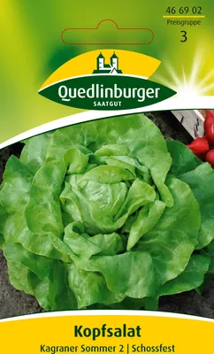 Produktbild von Kopfsalat 'Kagraner Sommer 2' Quedlinburger Salatsamen