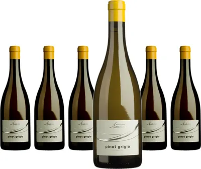 Produktbild von 6 x Cantina Andrian pinot grigio DOC