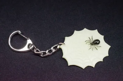 Produktbild von Spinnennetz mit Spinne Schlüsselanhänger Miniblings Anhänger Schlüsselring