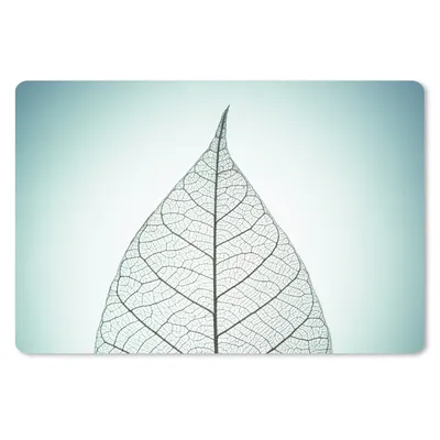 Produktbild von MuchoWow® Mauspad Mousepad Nahaufnahme eines botanischen Blattskeletts mit einem bunten Hintergrund 27x18 cm - Mousepads - Maus Mat - Pad - Mausunterlage - Büroartikel - Desk Matten