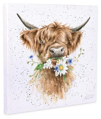 Produktbild von Wrendale Designs Druck auf Leinwand Highland Rind Daisy Coo