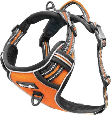 Produktbild von Bluzelle Hundegeschirr mittelgroße Hunde verstellbar Pet Series Premium