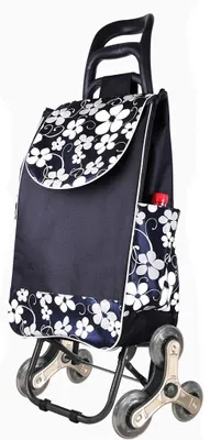 Immagine prodotto di Carrello pieghevole con borsa per la spesa impermeabile