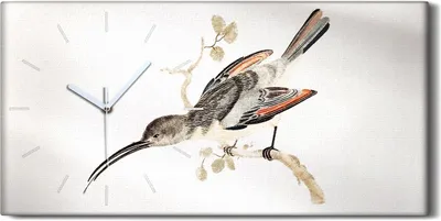 Produktbild von Wanduhr Uhr Wandbild Leinwand Geräuschlos 60x30 Zeichnung Tier Vogel Zweig Kunst - weiße Hände