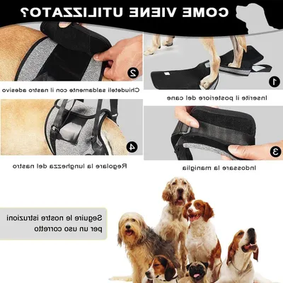 Hundegeschirr zum Heben, Hilfsgeschirr für ältere und verletzte Hunde, Unterstützung für Hinterbeine, Größe L