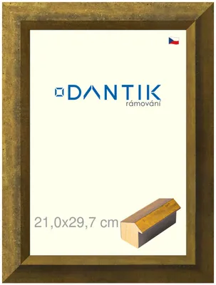 Obrázok produktu pre Rám DANTIK 21x29,7 | Forgia Gold (sklo číre)