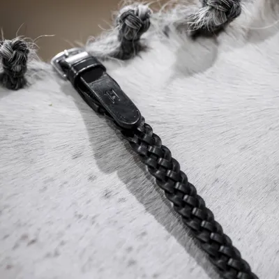Image de Rênes tressées Horseware