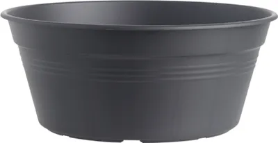 Produktbild von Grün Basics D.38cm Living Noir Schnitt - Elho