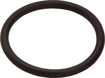 Zdjęcie produktu dla Hansgrohe O-Ring 34x3