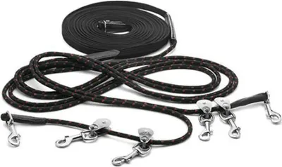 Image de Lexhis Long Canva Pulley Rênes argentées argentées One Size