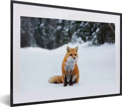 Produktbild von MuchoWow® MuchoWow® Gerahmtes Poster Fuchs - Schnee - Wald 40x30 cm - Poster mit zchwarzem Bilderrahmen - Bilderrahmen - Poster im Rahmen