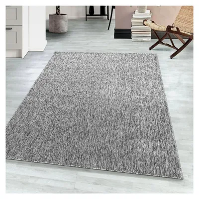 Produktbild von Moderner Kurzflor Teppich 120 x 170 cm in Hellgrau - Waschbar, Flauschig und Weich - Für Schlafzimmer, Esszimmer oder Küche