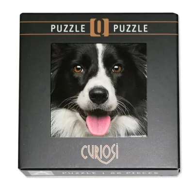 Immagine prodotto di Curiosi Puzzle Q Animal 5 Hund