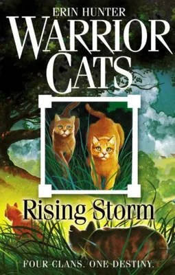 Produktbild von Rising Storm