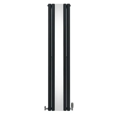 Immagine prodotto di Radiatore tubolare ovale con specchio e valvole termostatiche cromate - 1800mm x 380mm - Grigio antracite