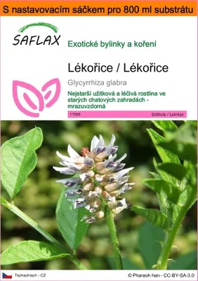 Obrázek produktu pro SAFLAX Garden in the bag - Lékořice / Lékořice - Glycyrrhiza glabra - 30 Semena - S pěstebním substrátem v praktickém samovztyčovacím sáčku