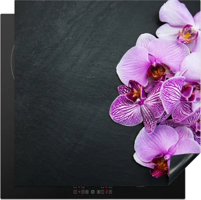 Produktbild von KitchenYeah© Herdabdeckplatte Orchidee - Blumen - Rosa - Flora , 78x78cm, Küche Deko, Glaskeramikkochfeld Herdabdeckung, Abdeckplatte fùr Kochfeld