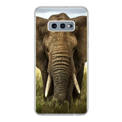 Produktbild von MuchoWow® Handyhülle Schutzhülle Hülle für Samsung Galaxy S10e Elefant - Natur - Gras - Tiere - Landschaft Silikon Softcase Handy Hülle - Handy