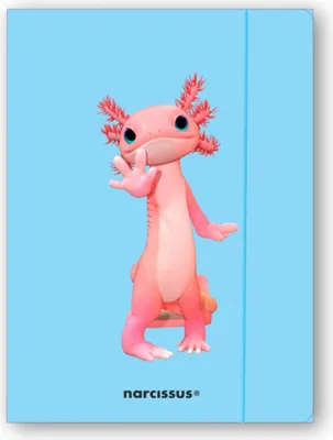 Obrázok produktu pre A4 zložka s gumičkou Teddies Aksolotl