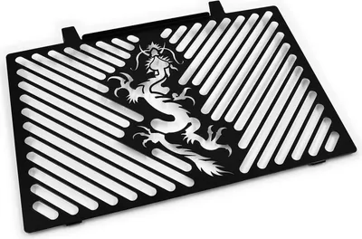 Produktbild von ZIEGER Kühlerabdeckung kompatibel mit Kawasaki Z 750 | R BJ 2008-12 | Z 1000 BJ 2008-09 Dragon schwarz