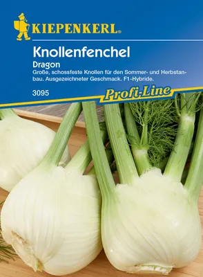 Artikelbild 1 von 'Knollenfenchel Dragon F1' aus der Kategorie Fenchelsamen