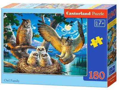 Obrázek produktu pro CASTORLAND Puzzle 180 dílků - Rodina sov