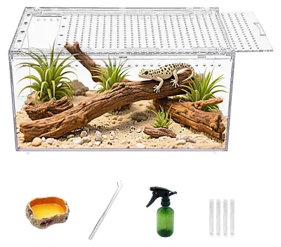 Image de Terrarium pour reptiles, dimensions : 30 x 20 x 15 cm