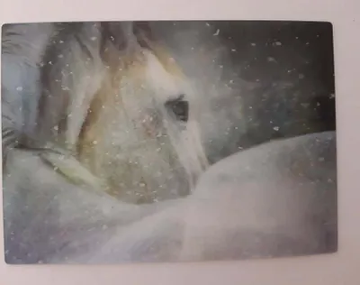 Produktbild von 3 D Ansichtskarte Pferd, Postkarte Wackelkarte Hologrammkarte Tiere Pony