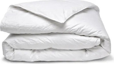 Image de Bleu Calin Couette Été Duvet de Canard Légère 150g/m2 - 200x200cm