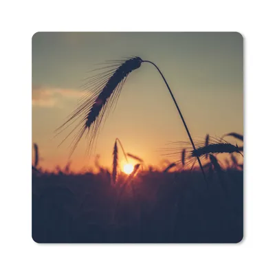 Produktbild von MuchoWow® Mauspad Mousepad Gras - Herbst - Sonnenuntergang - Jahreszeiten - Landschaft 30x30 cm - Mousepads - Maus Mat - Pad - Mausunterlage - Gaming