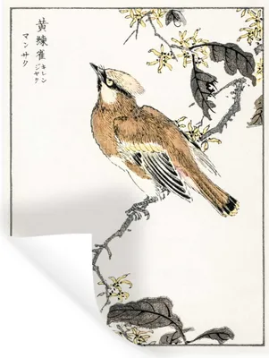 Produktbild von MuchoWow® Wandtattoo Wandsticker Wandaufkleber Vogel - Japanisch - Baum 60x80 cm Selbstklebend und Repositionierbar - Repositionierbar - Wasser abweisend