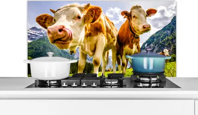 Produktbild von KitchenYeah®  Spritzschutz Küche - Küchenrückwand - Wandschutz für Herd und Spüle - Kühe - Berge - Gras - Landschaft - Alpen 100x50 - Alu-Dibond (Alternative zum Spritzschutz aus Glas) - Hitzebeständi