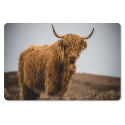 Produktbild von MuchoWow® Schreibtischunterlage Schottischer Highlander - Düne - Gras 60x40 cm - XXL Mauspad - Großes Mauspad