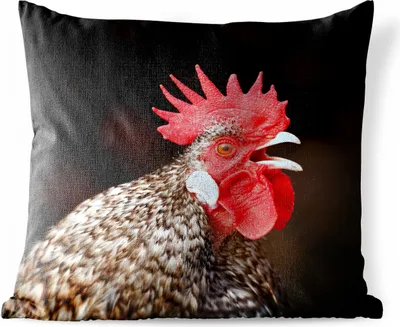 Produktbild von MuchoWow® Outdoor Kissen - Krähender Hahn - 40x40 cm - Wetterfest - Lounge Kissen - Kopfkissen - Interieur - Polster mit Bild