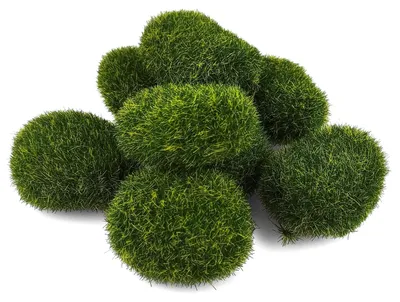 Image de 8 boules de mousse artificielle verte pour la décoration du jardin et du terrarium
