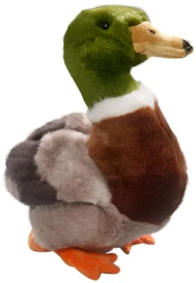 Zdjęcie produktu dla Kaczka Carl Dick, kaczka krzyżówka ok. 22 cm 3336 przytulanka, miękka zabawka, pluszak