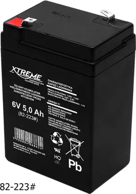 A black 6V 5Ah lead-acid battery with labels and symbols.